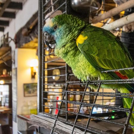 New Inn クレディトン エクステリア 写真